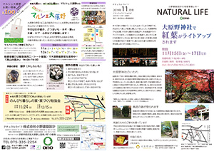 ナチュラルライフ2019年11月号(表)